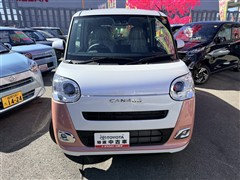 ムーヴキャンバス ストライプス G