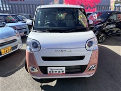 ムーヴキャンバス ストライプス G