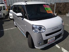 ムーヴキャンバス ストライプス G