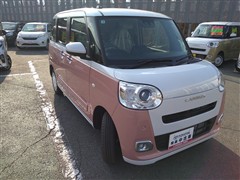 ムーヴキャンバス ストライプス G