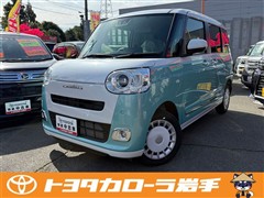 ムーヴキャンバスストライプスGt