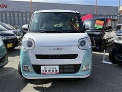 ムーヴキャンバスストライプスGt