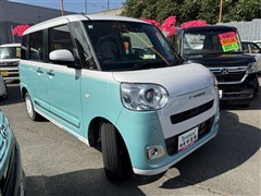 ムーヴキャンバスストライプスGt