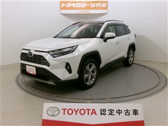 ＲＡＶ４