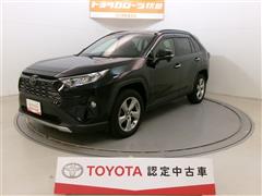 RAV4 G