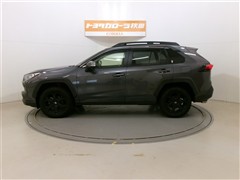 RAV4 アドベンチャー オフロート