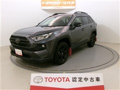 RAV4 アドベンチャー オフ2