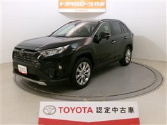 RAV4 G Zパッケージ