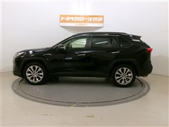 RAV4 G Zパッケージ