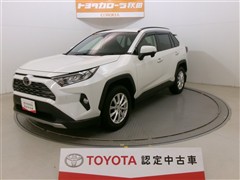 RAV4 G