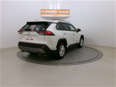 RAV4 G