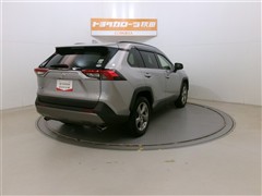 RAV4 G
