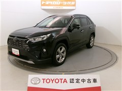 RAV4 G