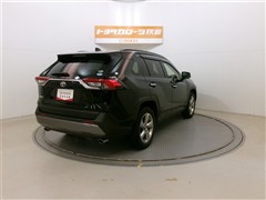 RAV4 G