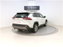 RAV4 G