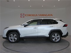 RAV4 HV G 4WD