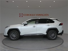 RAV4 X