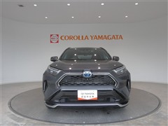 RAV4 PHV Z E-Four