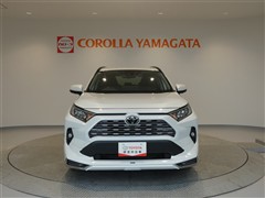 RAV4 G