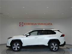 RAV4 PHV G Z E-Four
