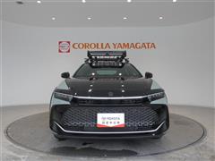 クラウン CO RS ランドスケープ