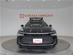 クラウン CO RS ランドスケープ