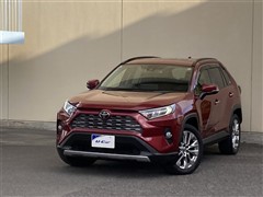 RAV4 G Zパッケージ