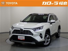 RAV4 G