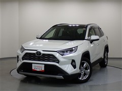RAV4 G