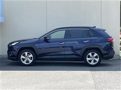RAV4 G