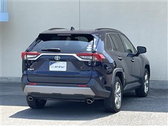 RAV4 G