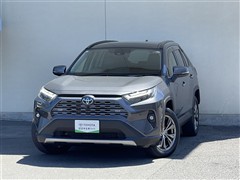 RAV4 ハイブリッドG