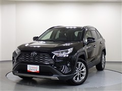 RAV4 G Zパッケージ