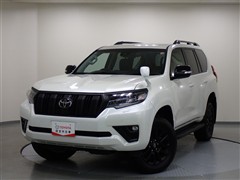 ランクル プラド TX LマットB