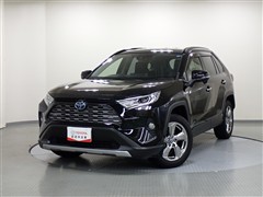 RAV4 ハイブリッドG