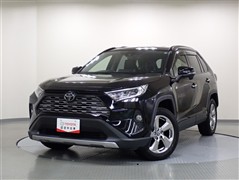 RAV4 G