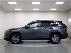 RAV4 X