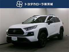 トヨタ RAV4 アドベンチャー オフロート