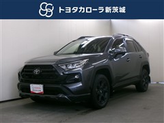 RAV4 アドベンチャー オフロート