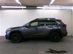 RAV4 アドベンチャー オフロート