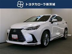 NX250 バージョンL