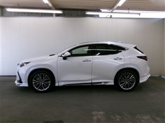 NX250 バージョンL