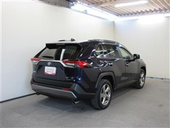 RAV4 G