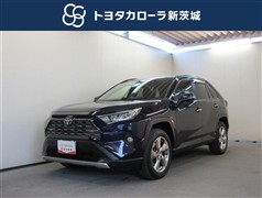 RAV4 G