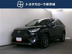 RAV4 G