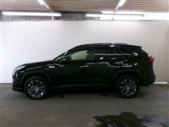 RAV4 G