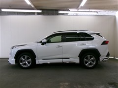 RAV4 G