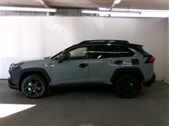 RAV4アドベンチャーオフロード2