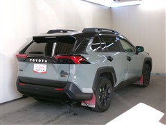 RAV4アドベンチャーオフロード2