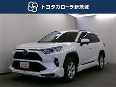 RAV4 ハイブリッドX
